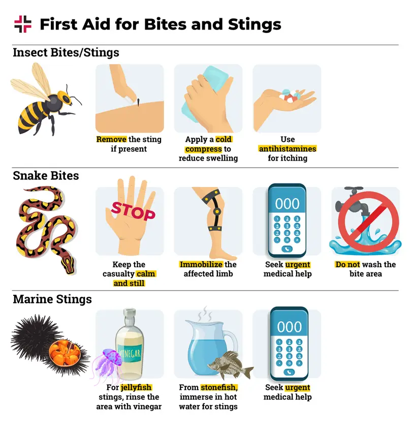 Bites and Stings